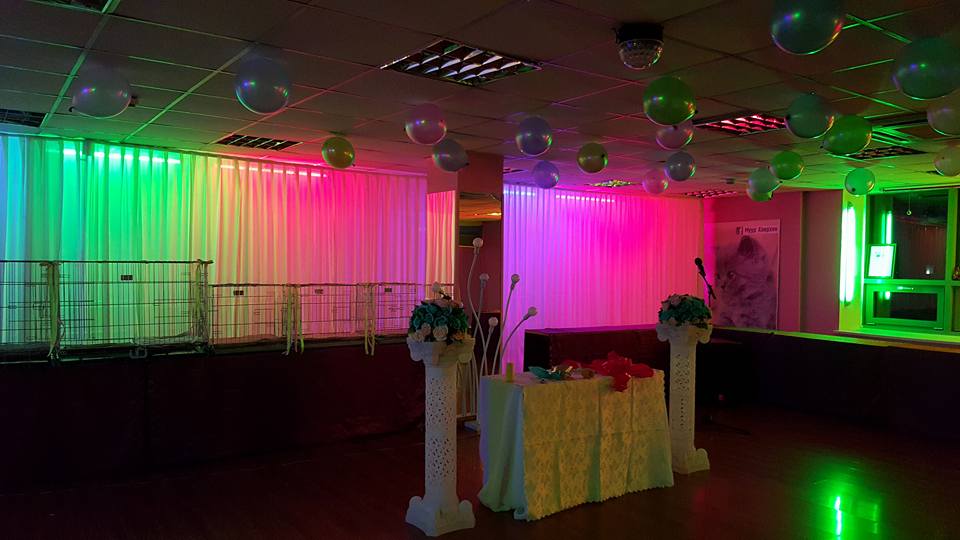 “Муур хөөрхөн” содон нэртэй үзэсгэлэн нээлтээ хийлээ